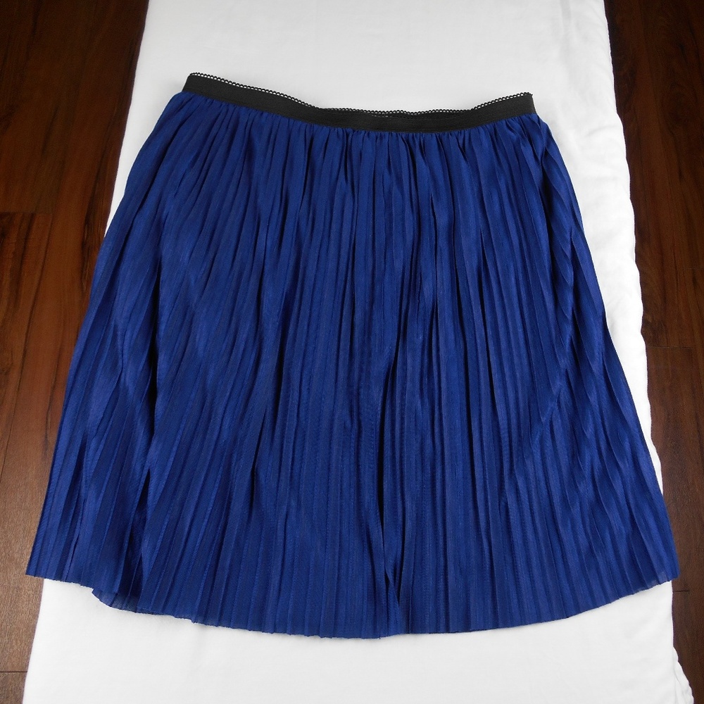 Xhilaration Lined Pleated Skirt
